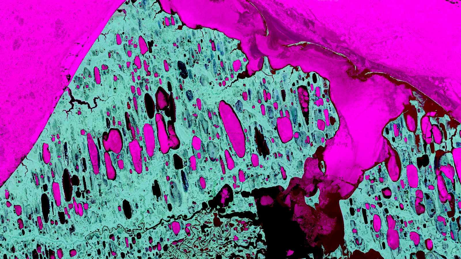Thaw lakes and sea ice near Utqiagvik, Alaska, Infrared false colour, my recipe · Sentinel-2 L2A, 6 July 2026
