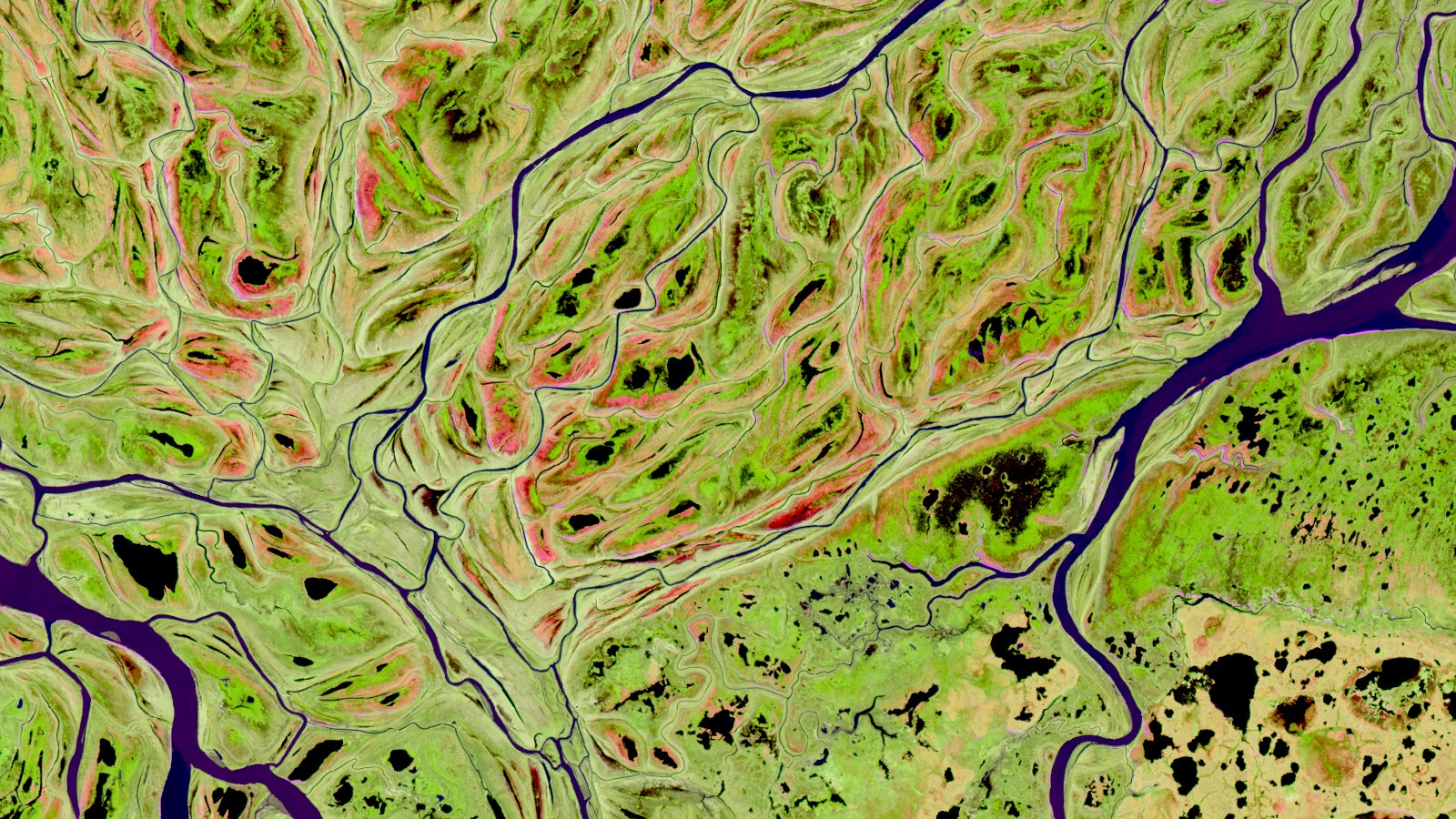 Channels and meander scars of the Yukon Delta, Alaska, Infrared false colour, my recipe · Sentinel-2 L2A, 26 May 2025